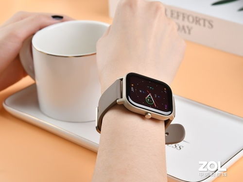 鈦金屬藝術(shù)之作 Amazfit GTS鈦金版圖賞